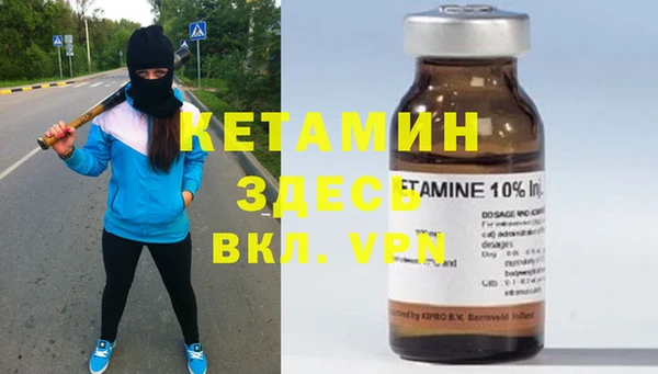 шишки Богородицк