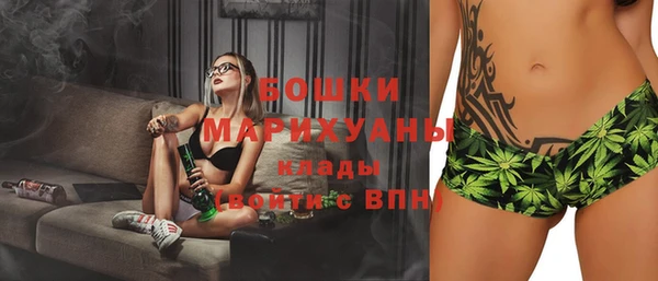 шишки Богородицк