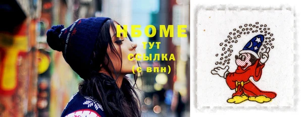 гашик Богородск