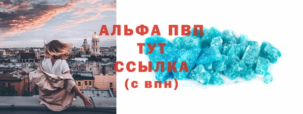 гидра Богданович