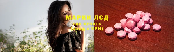 шишки Богородицк