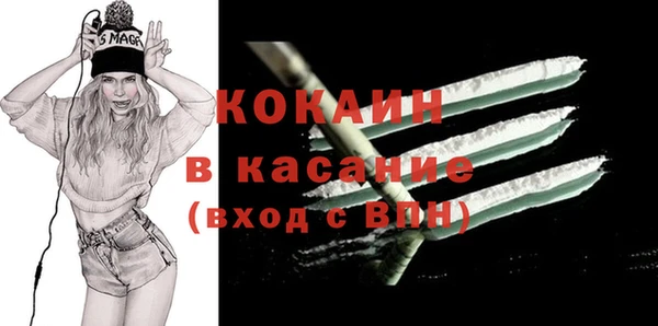 гидра Богданович