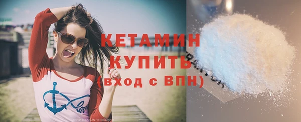 шишки Богородицк