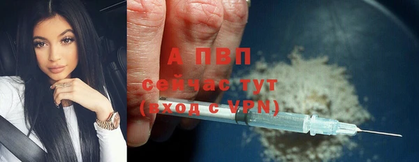 шишки Богородицк