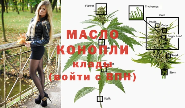 гидра Богданович