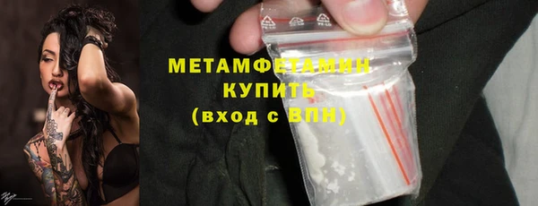 гидра Богданович