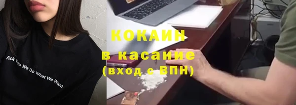 шишки Богородицк