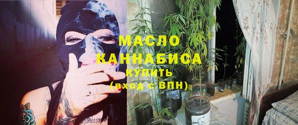 гидра Богданович