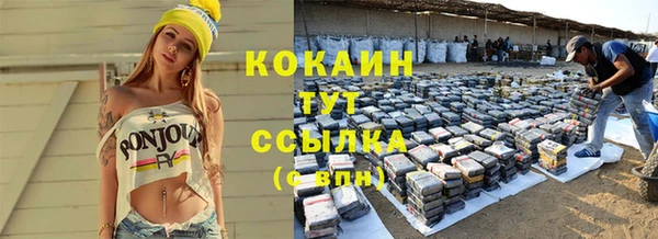 гашик Богородск