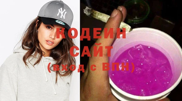 шишки Богородицк